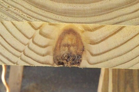 jesus... knot